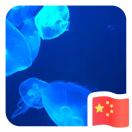 暂无图片
