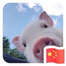 暂无图片