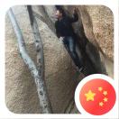 暂无图片
