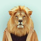 暂无图片