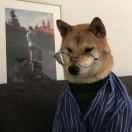 暂无图片