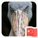 暂无图片
