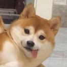 暂无图片