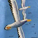 暂无图片