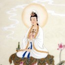暂无图片