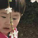 暂无图片