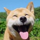暂无图片
