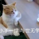 暂无图片