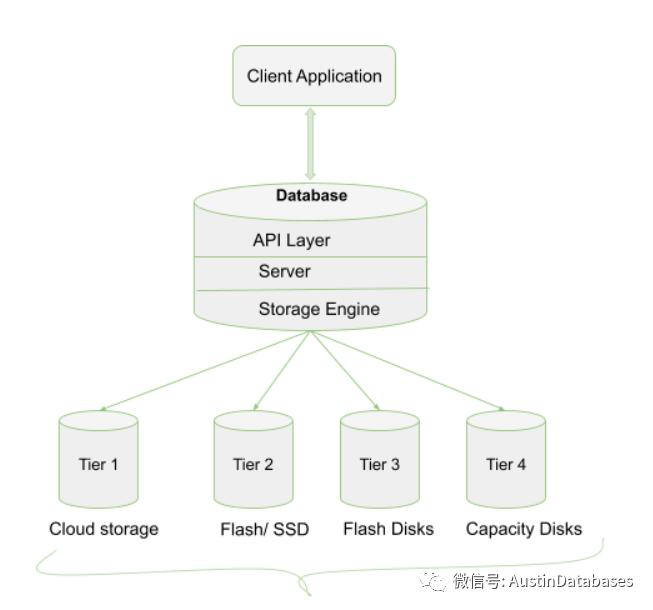 Mongodb 数据存储是 B+ TREE 还是 B TREE - 墨天轮