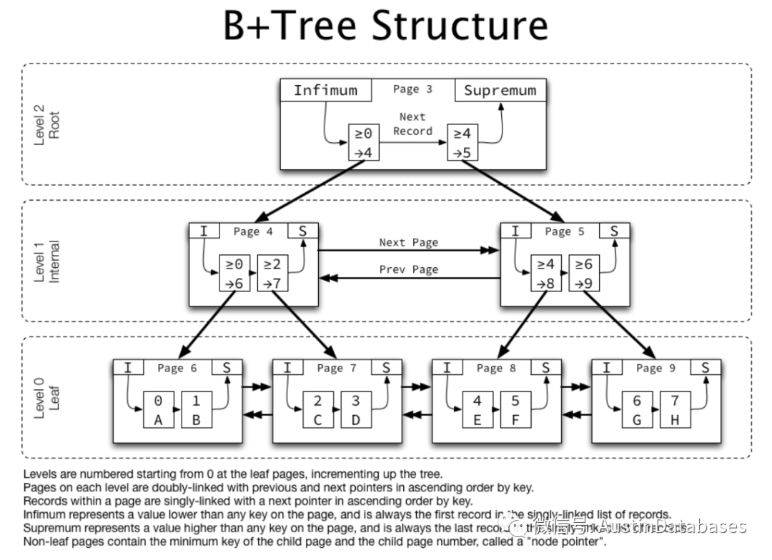 Mongodb 数据存储是 B+ TREE 还是 B TREE - 墨天轮