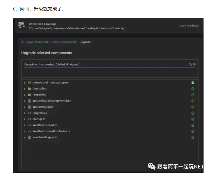  net upgrade assistant 