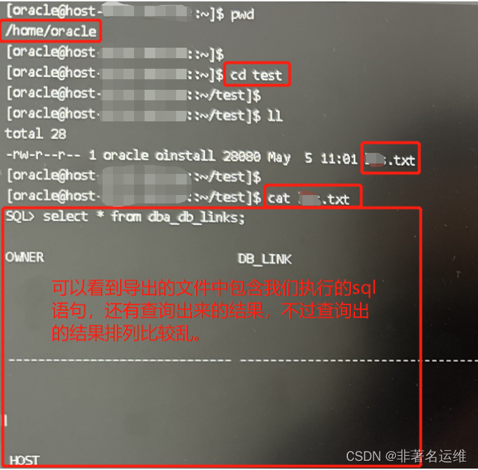  oracle sqlplus 