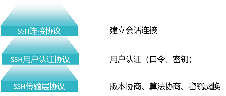 SSH python自动化采集 - 墨天轮