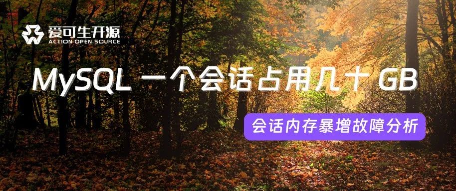 MySQL 一个会话占用几十 GB,你敢信? - 墨天轮