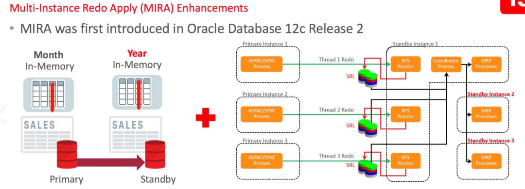Oracle ADG单机部署实战指南【Oracle数据库分享--0x04】 - 墨天轮