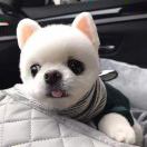 暂无图片