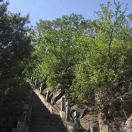 暂无图片