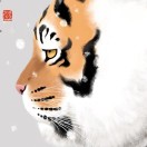 暂无图片