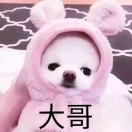 暂无图片