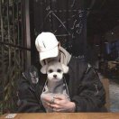 暂无图片