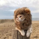 暂无图片