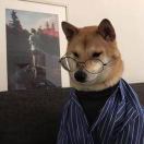 暂无图片