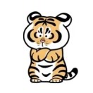 暂无图片