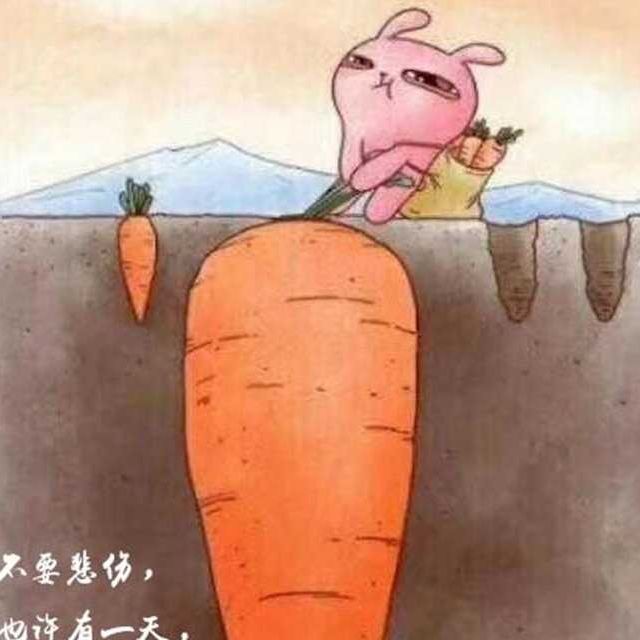 暂无图片