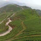 暂无图片