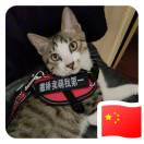 暂无图片