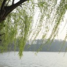 暂无图片