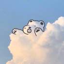 暂无图片