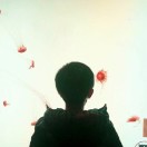暂无图片