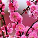 暂无图片