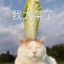 暂无图片