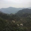 暂无图片