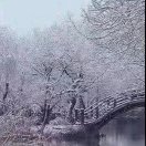 暂无图片