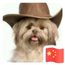 暂无图片