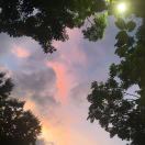 暂无图片