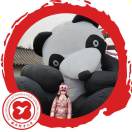 暂无图片