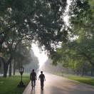 暂无图片