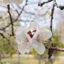 暂无图片