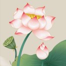 暂无图片