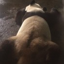 暂无图片