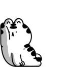 暂无图片