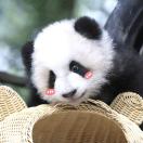 暂无图片