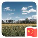 暂无图片