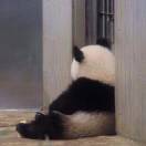暂无图片