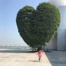 暂无图片