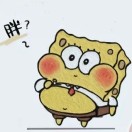暂无图片